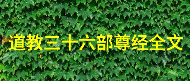 走进道家的神秘世界揭秘五行八卦的神奇力量