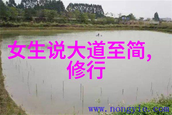 在信息爆炸时代重构价值观念-让先天下成为我们共同努力的方向