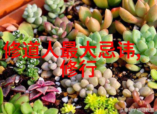 德道经的寓意与我们的日常生活实践
