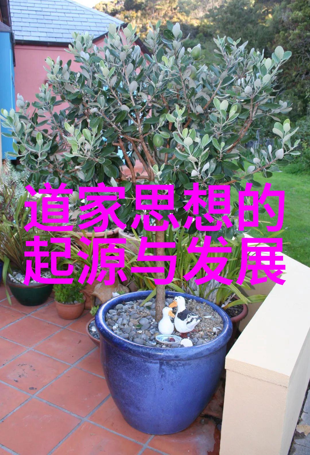 楷书艺术之美探索最为人称道的书法作品