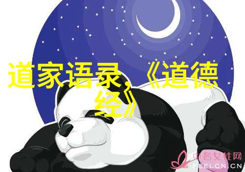 拼音老子道德经学习笔记精解每一句的深意