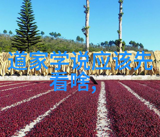 如何理解先天下之忧而忧我是不是应该也为你着想