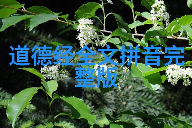 道教的光与影远离或向往
