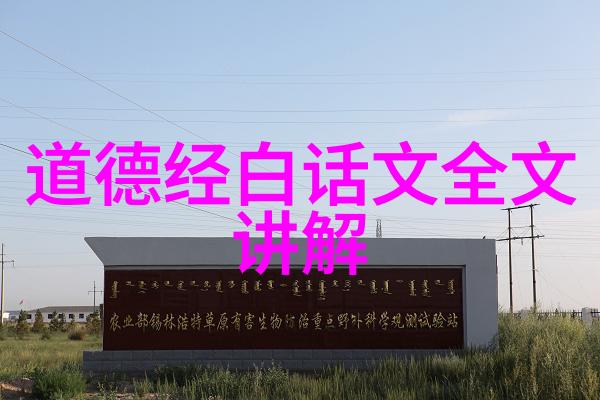 道家至尊探索内丹大师的奥秘与力量