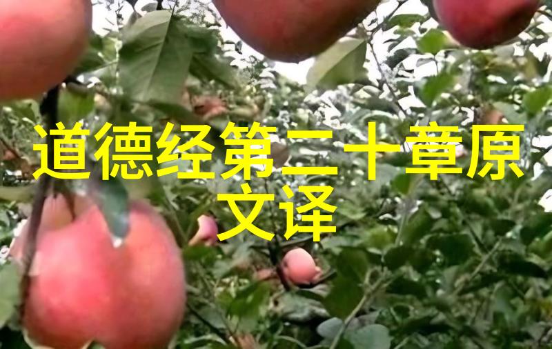 道家最厉害的人物我见过的那些超级厉害的道士