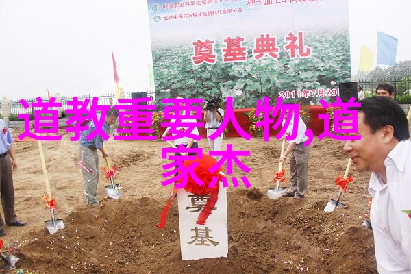 无为而无不为探索静观的智慧与活力