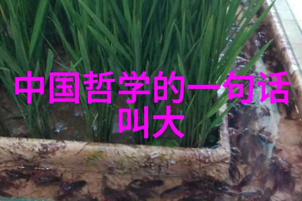 道生一哲学探究之初