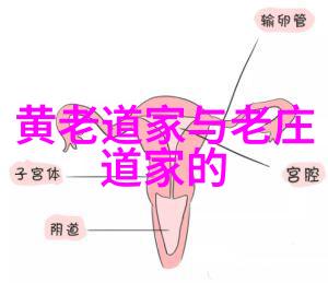 电闪雷鸣中的秘笈解密古老武术的引雷诀手势