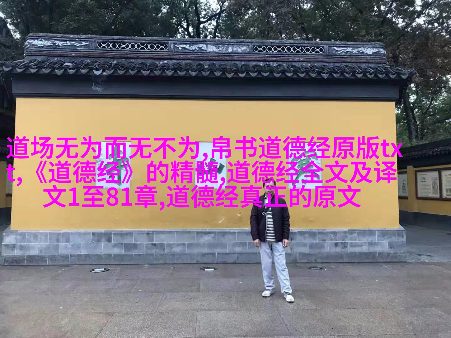 阴阳鱼