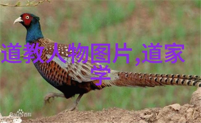 道家学者探索古籍智慧与现代生活的融合
