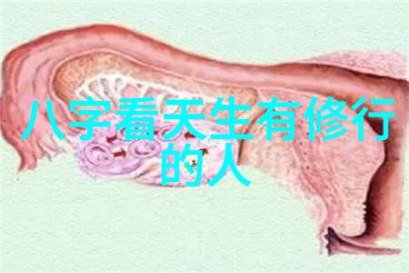 超越表面的沟通技巧学会在不能说的时候倾听