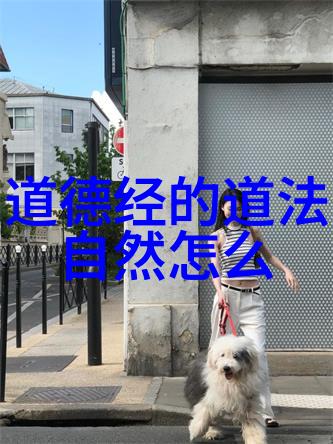 蓝光炸裂揭秘最强gy平台小蓝网站视频的奇迹