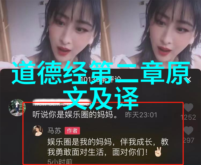 宠妃沾衣朝廷风云中的爱与权
