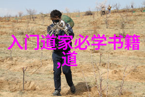 打坐修炼揭秘古代道家的隐世秘法