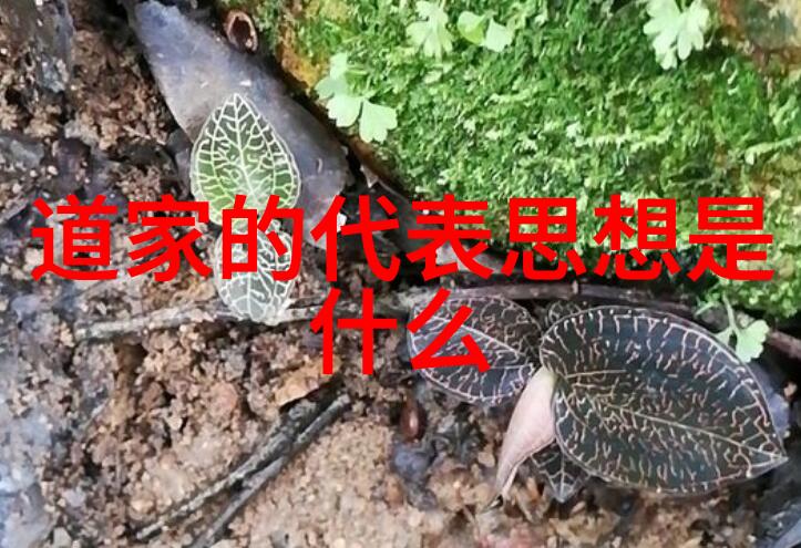 以简驭繁 - 简约之美与复杂世界的和谐共处