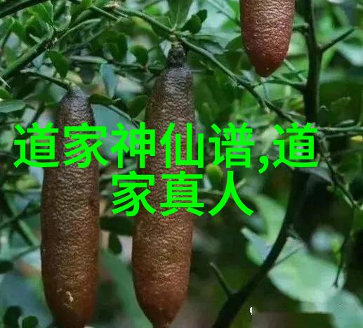 西出玉门之旅探寻古丝绸之路的秘密