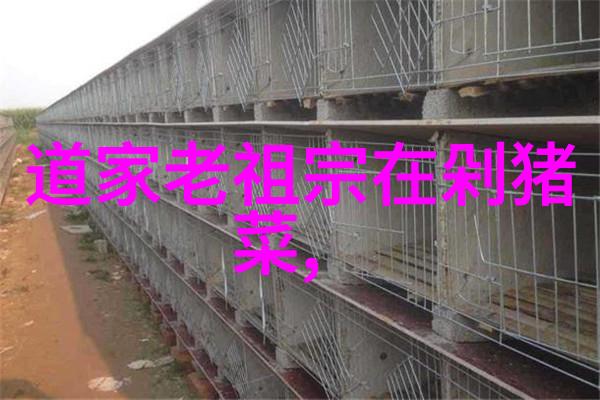 道教探秘灵魂的飞翔与自然的和谐