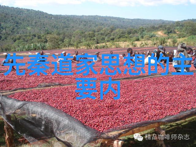 文明的守护者儒释道三大思想家与中国文化的融合