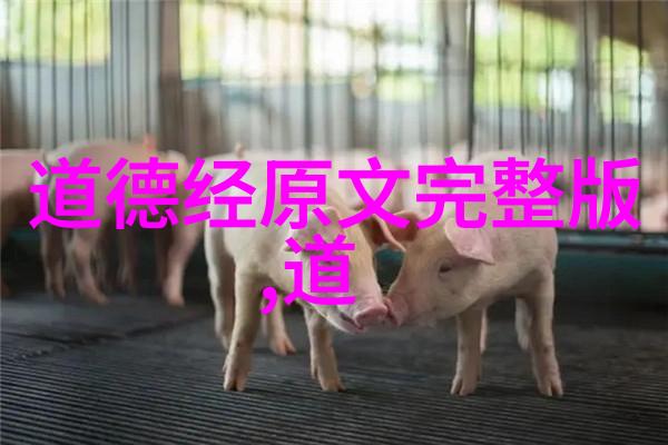活出本真如何在现代社会中理解和应用道法自然