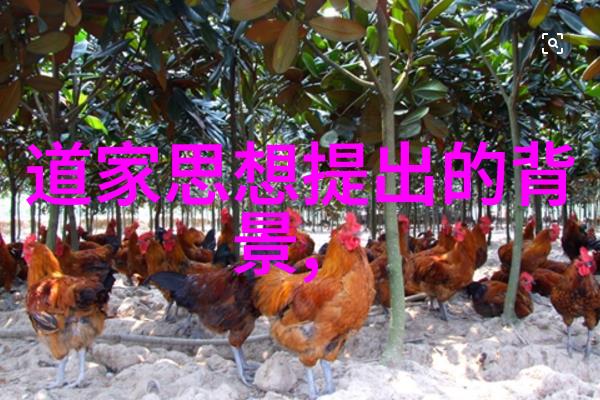 在快速变化的时代无为如何保持核心竞争力