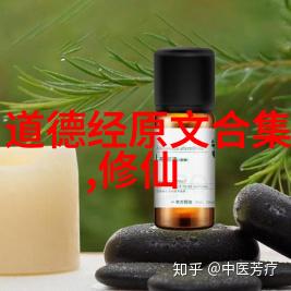 道家最厉害的人老子在的那些年隐世修行与天地之间的对话