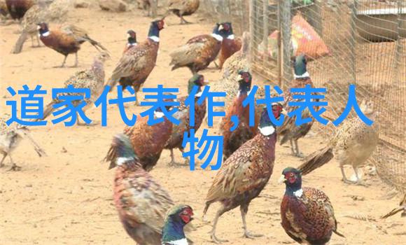从孔子的己所不欲勿施于人谈起无为之道的深度解读