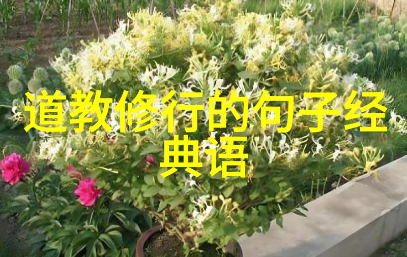 道家文化-揭秘古代道家的创始人物与哲学思想的源起