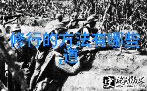 穿越之寡妇难为重生之谜与爱恨交织