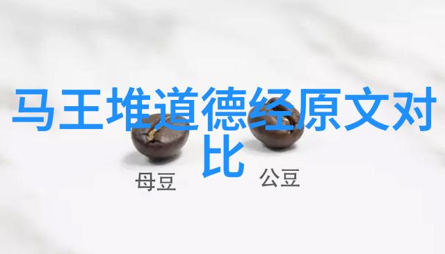 道家学派的代表人物是谁探寻古老智慧的传承者们