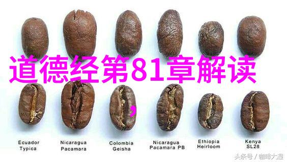 汉初道家代表人物-老子与庄周开启汉初道家的智慧之光