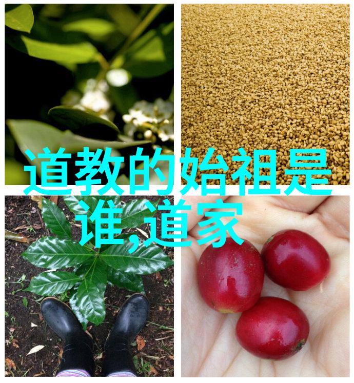 主题我和老子聊聊道教的神仙们