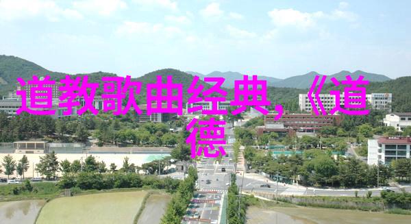 从自由到和谐社会探讨庄子无为理念的社会效应