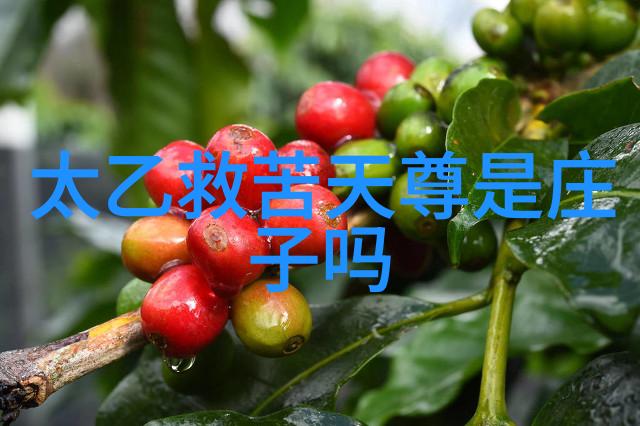 心无欲则刚是什么意思-剖析心无欲则刚哲理探索内心的坚韧与自我实现