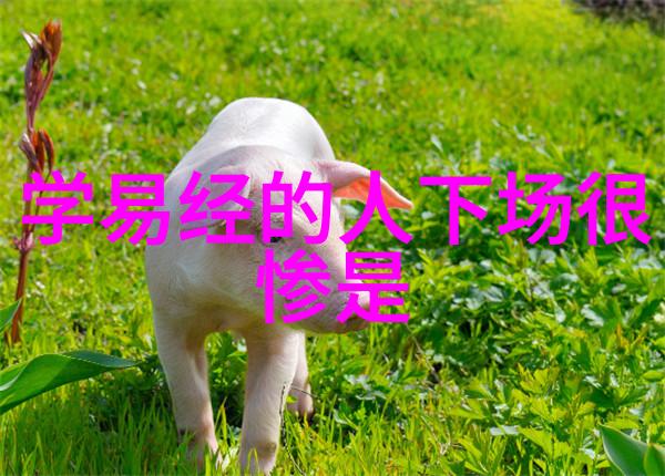 容忍与宽恕家庭和谐的基石无为之举