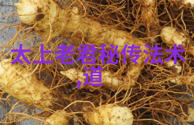 出道弟子的神秘变异揭秘眼睛改变的原因