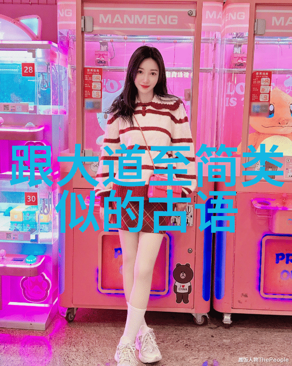 文明之光内圣外王的哲学探索
