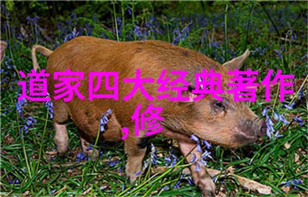 冬日书香落款艺术的寒冰之韵