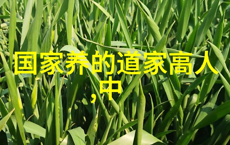斗罗大陆神界传说-天庭狩猎神界秘境与斗罗英雄的传奇