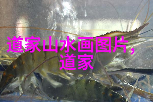 出道弟子眼中的变化隐秘与光芒的交织