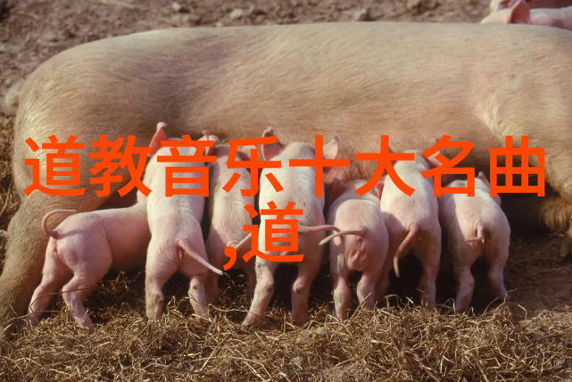 原版道德经注音版 - 古籀今解深入探索原版道德经注音版的文化价值