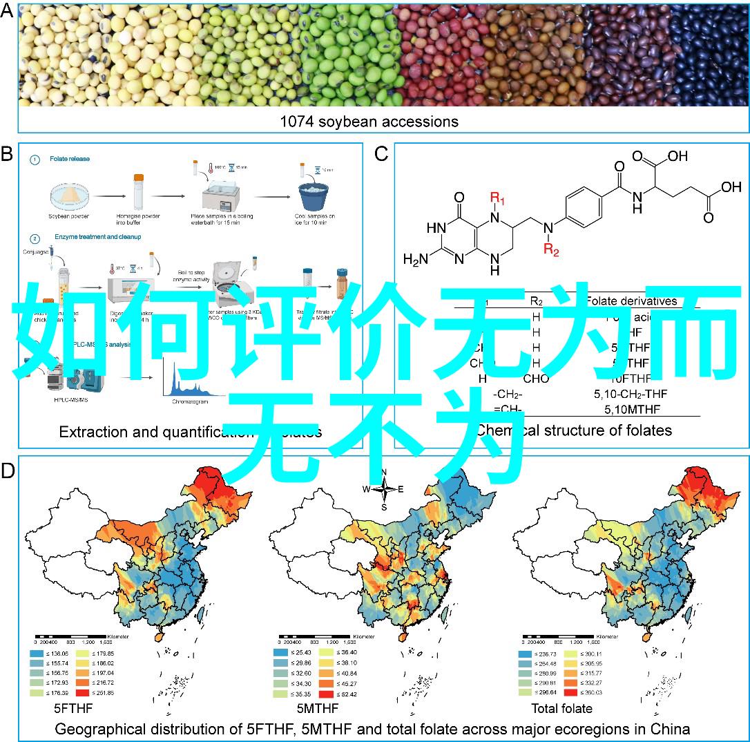 道德经的主要内容揭秘老子智慧道德经的精髓