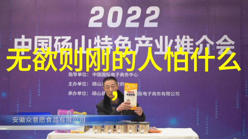 张载和王弼解读老子的道德经新视角展开讨论