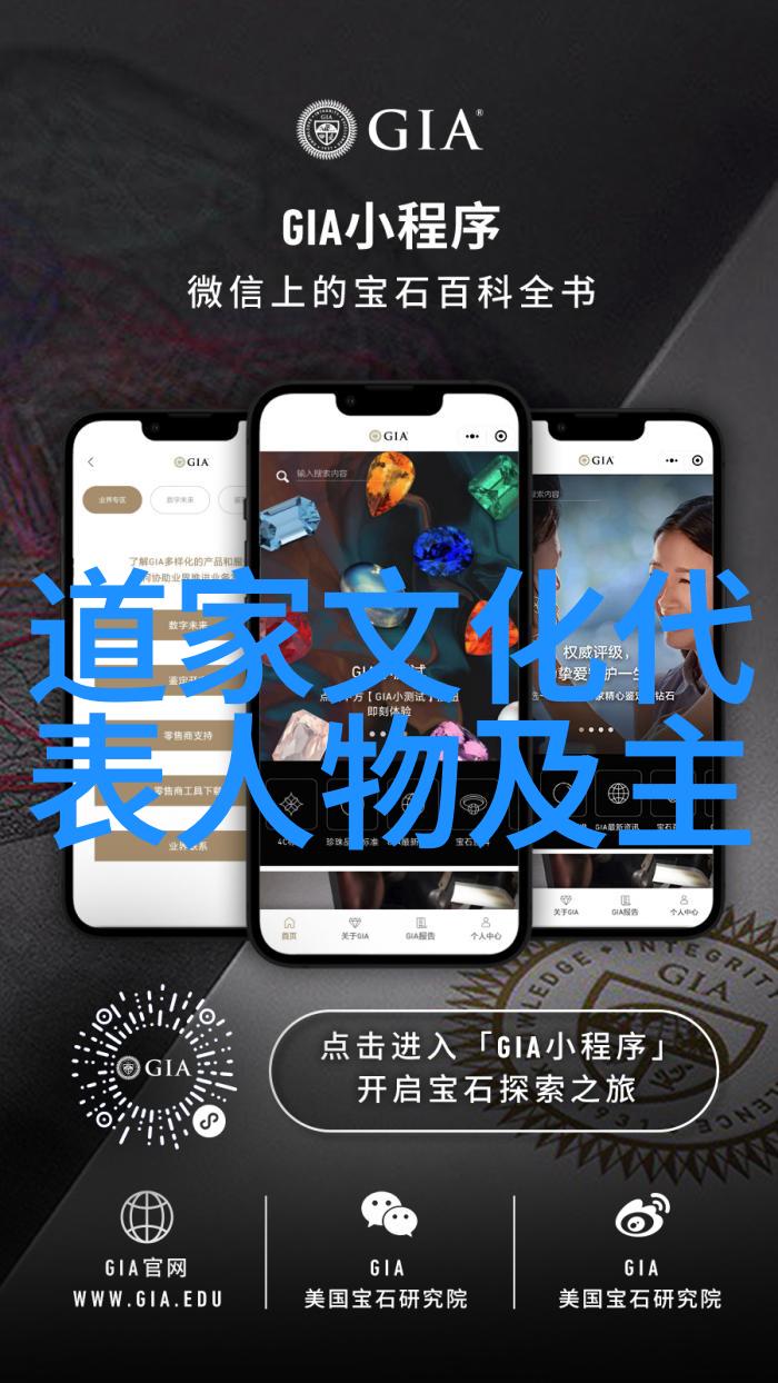 中国古代自然主义哲学家王弼对庄子的解读