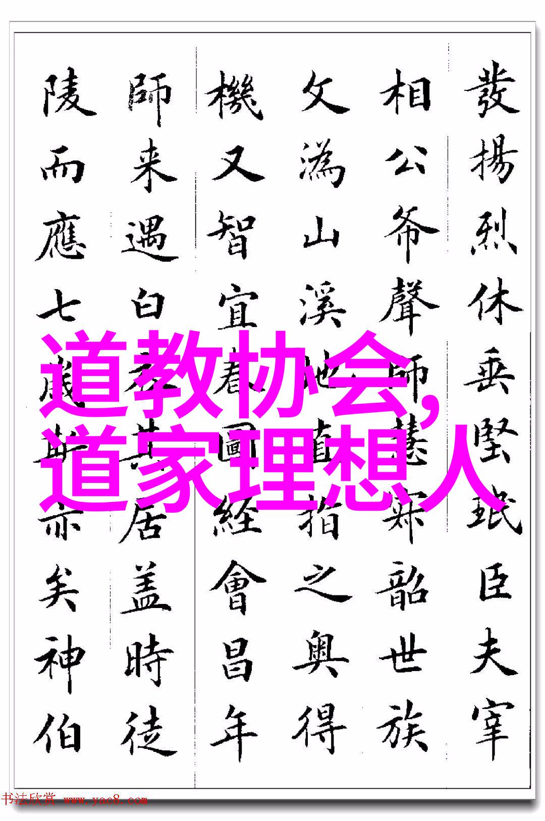 她究竟是如何在内心深处培养出那份超越欲望的刚毅