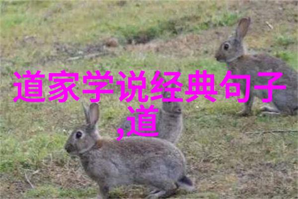 隐逸之士历史上有哪些文人墨客选择了隐居山林追求道家的生活方式
