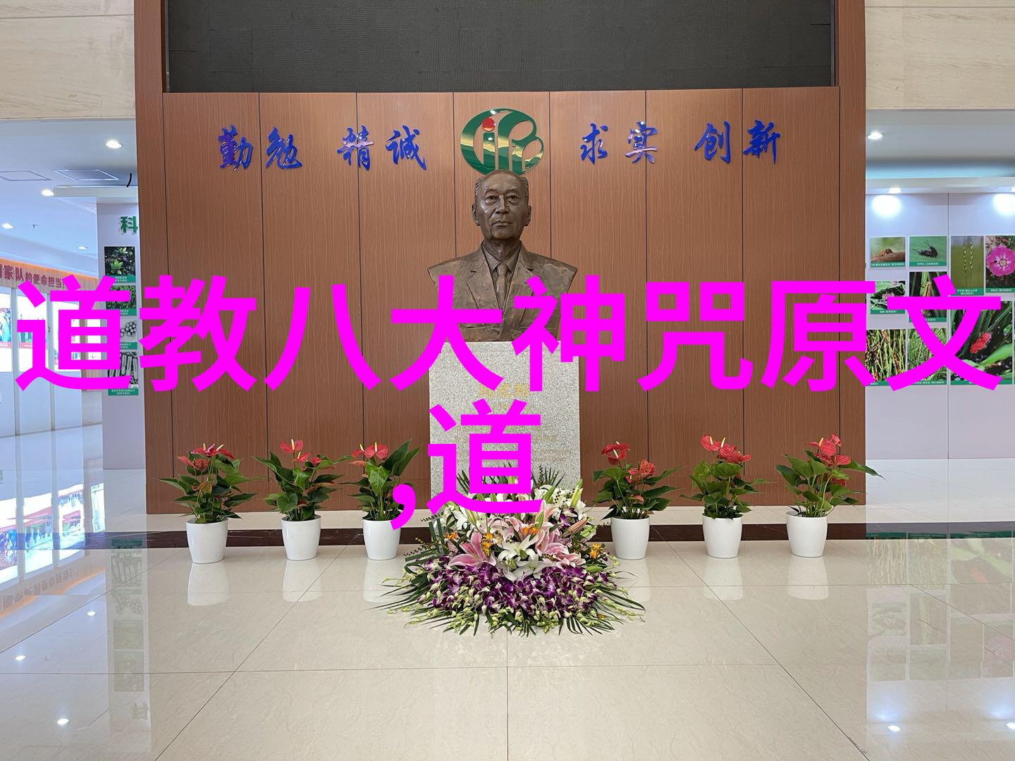 老子的无为之谜揭开不动而万物自成的秘密