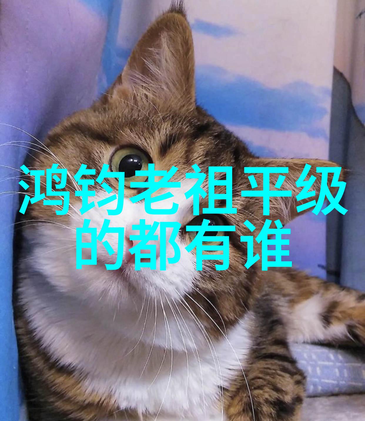 道教修炼与生活方式深入探究中国古代道教的哲学修行和社会影响