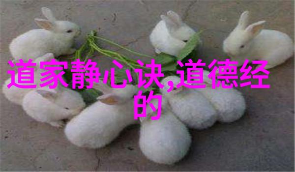 千古五言绝句探索最美古诗文的魅力