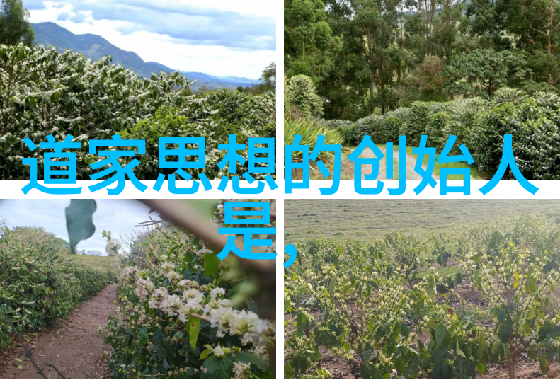 道士的默念之经守护自然和平的古老秘密