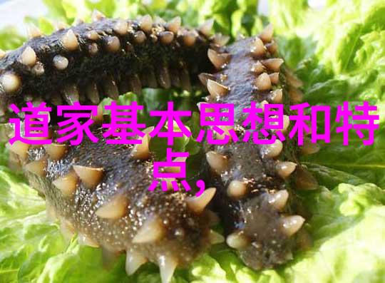 硬笔书法大赛a4纸作品-墨香四溢探索A4纸上的硬笔书法艺术
